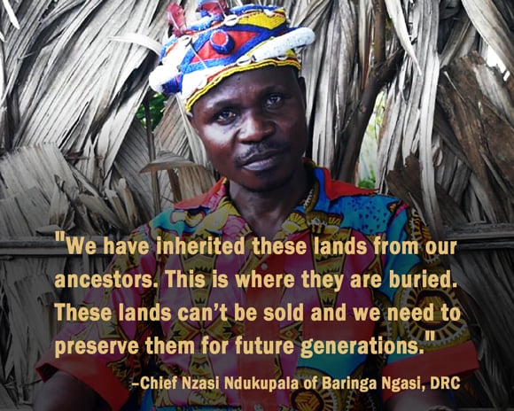 Chief Nzasi Nkukupala, Baringa Ngasi. Baringa Ngasi is one of at least nine villages, with over 5,000 people, that lost their land to the Bukanga Lonzo Agro-industrial Park in DRC. Credit: Oakland Institute