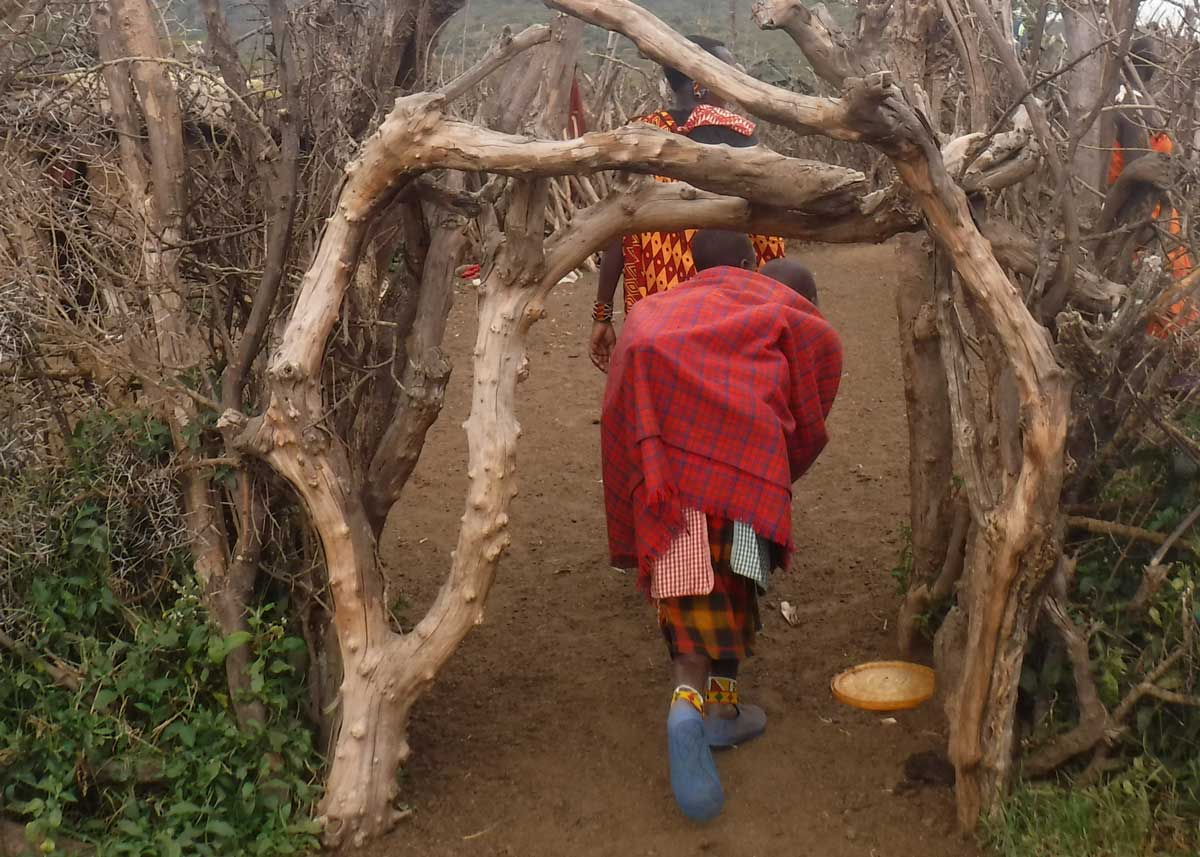 Image: Entrance to a new boma built by the displaced Maasai. Credit: The Oakland Institute