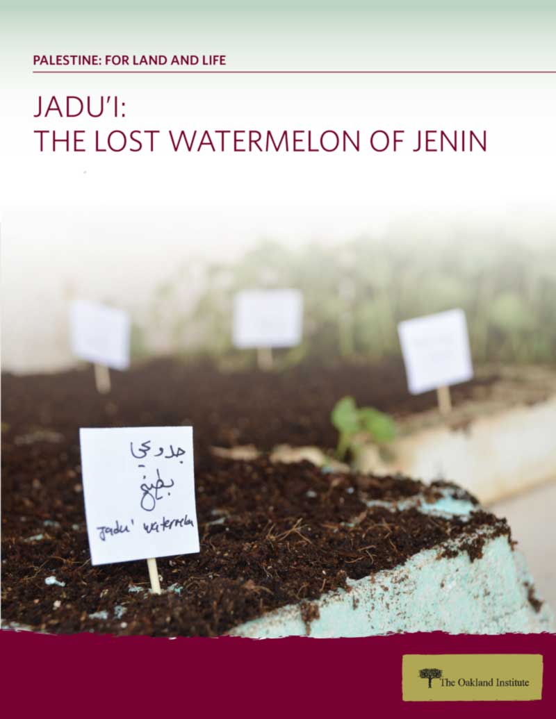 Jadu'I: The Lost Watermelon of Jenin, Cover