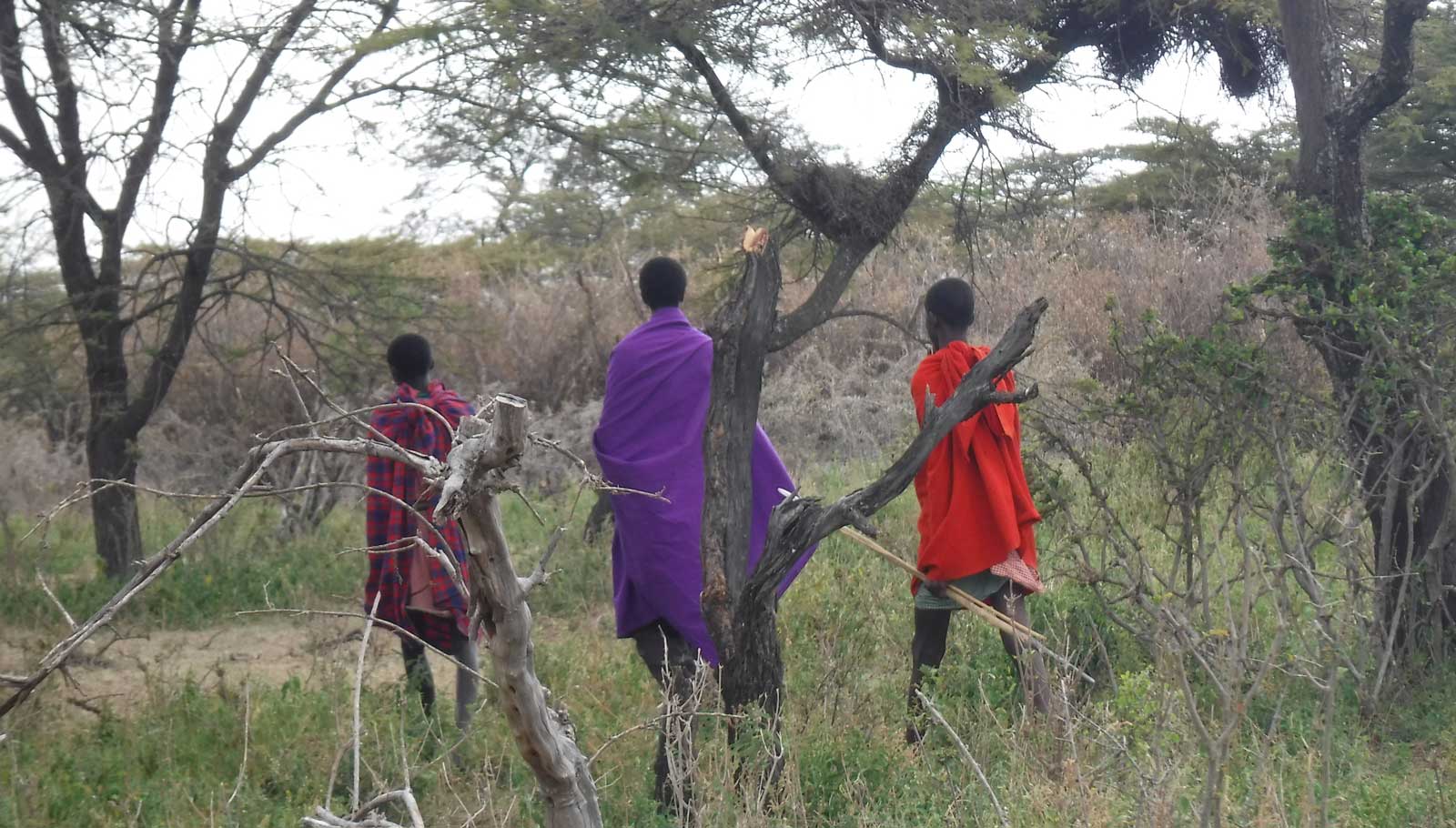Young herders in Ngorongoro. Credit: The Oakland Institute