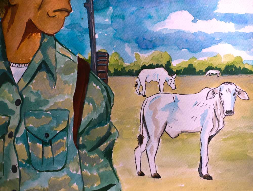 Ranching away Indigenous land rights. Illustration: Abner Hauge