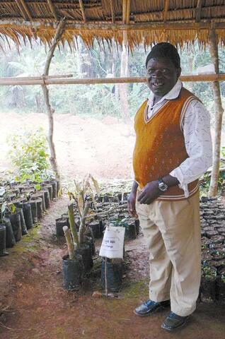 Agroforesterie au Cameroun