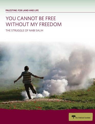 "The Struggle for Nabi Salih" report cover