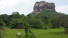 Sigiriya fortress in the northern Matale District. Photo: The Oakland Institute