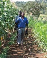 Biological Pest Control: Push-pull in East Africa