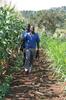 Biological Pest Control: Push-pull in East Africa